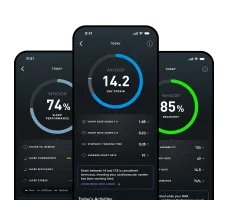 Whoop One с подпиской на 1 год (Whoop 5.0)