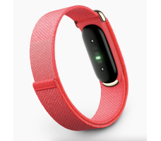 Фитнес-браслет Google Fitbit Air (ягодный)