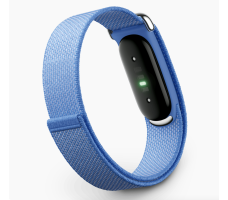 Фитнес-браслет Google Fitbit Air (лаванда)