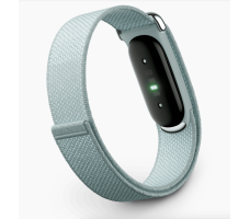 Фитнес-браслет Google Fitbit Air (туманный)