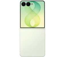 Смартфон Samsung Galaxy Z Flip8 SM-F776B 12GB/256GB (мятный)