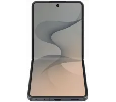 Смартфон Samsung Galaxy Z Flip8 SM-F776B 12GB/512GB (серый)