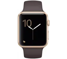 Умные часы Apple Watch Series 2 42mm Gold with Cocoa Sport Band (MNPN2)