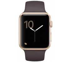 Умные часы Apple Watch 42mm Gold with Cocoa Sport Band (MNNN2)