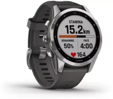 Умные часы Garmin Fenix 7S 42 мм (серебристый/графитовый)