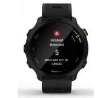 Умные часы Garmin Forerunner 55 (черный)