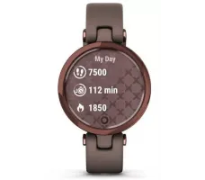 Умные часы Garmin Lily (темно-бронзовый/кожаный ремешок)