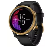 Умные часы Garmin Venu Gold/Black