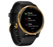 Умные часы Garmin Venu Gold/Black