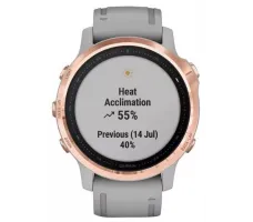 Умные часы Garmin Fenix 6S Sapphire 42mm (010-02159-21)