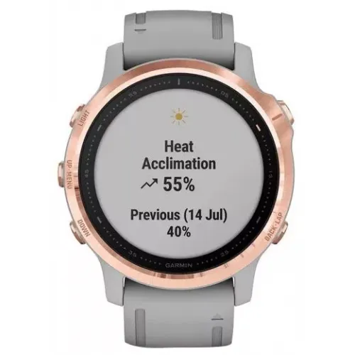 Умные часы Garmin Fenix 6S Sapphire 42mm (010-02159-21)