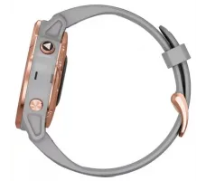 Умные часы Garmin Fenix 6S Sapphire 42mm (010-02159-21)