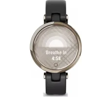 Умные часы Garmin Lily (кремово-золотистый, черный/кожаный ремешок)