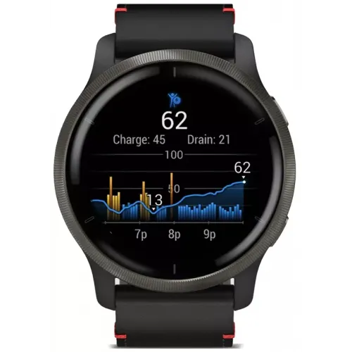 Умные часы Garmin Venu 2 (нержавеющая сталь/черный кожаный)