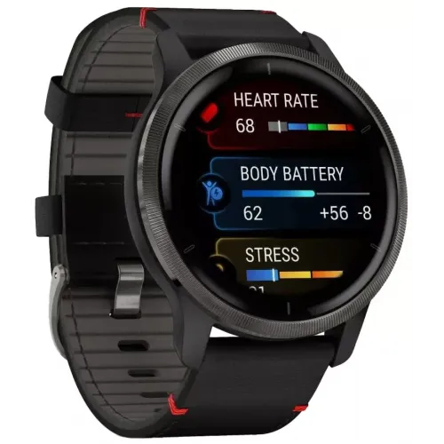 Умные часы Garmin Venu 2 (нержавеющая сталь/черный кожаный)