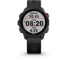 Умные часы Garmin Forerunner 245 Music Black