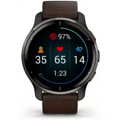Умные часы Garmin Venu 2 Plus (черный/коричневый)