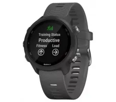 Умные часы Garmin Forerunner 245 (серый)