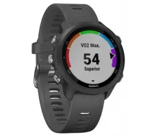 Умные часы Garmin Forerunner 245 (серый)