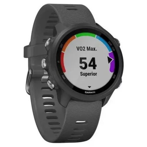 Умные часы Garmin Forerunner 245 (серый)