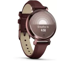 Умные часы Garmin Lily 2 Classic (темная бронза/шелковица)