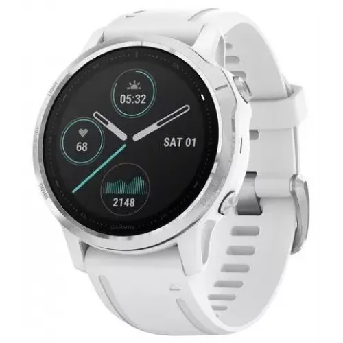 Умные часы Garmin Fenix 6S 42mm (010-02159-00)