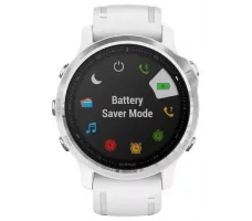 Умные часы Garmin Fenix 6S 42mm (010-02159-00)