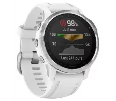 Умные часы Garmin Fenix 6S 42mm (010-02159-00)