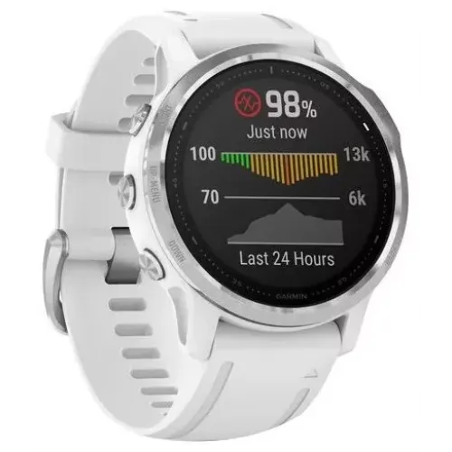 Умные часы Garmin Fenix 6S 42mm (010-02159-00)