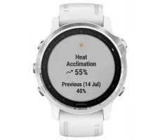Умные часы Garmin Fenix 6S 42mm (010-02159-00)