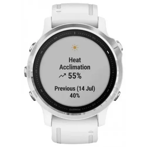 Умные часы Garmin Fenix 6S 42mm (010-02159-00)