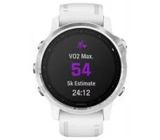 Умные часы Garmin Fenix 6S 42mm (010-02159-00)