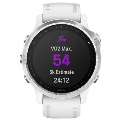 Умные часы Garmin Fenix 6S 42mm (010-02159-00)