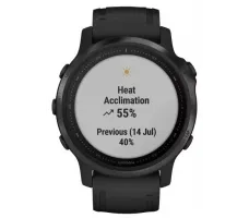 Умные часы Garmin Fenix 6S Pro 42mm (010-02159-14)