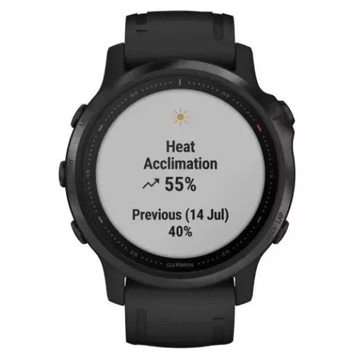Умные часы Garmin Fenix 6S Pro 42mm (010-02159-14)