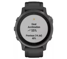 Умные часы Garmin Fenix 6S Sapphire 42mm (010-02159-25)