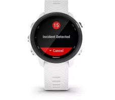 Умные часы Garmin Forerunner 245 Music White