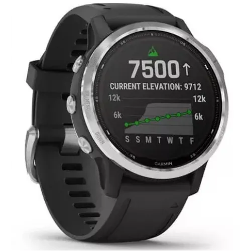 Умные часы Garmin Fenix 6 Solar 42 мм (серебристый/черный)