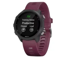 Умные часы Garmin Forerunner 245 (вишневый)