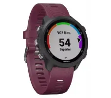 Умные часы Garmin Forerunner 245 (вишневый)