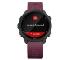 Умные часы Garmin Forerunner 245 (вишневый)