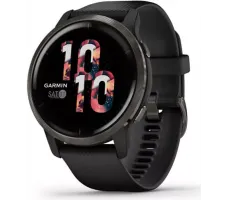 Умные часы Garmin Venu 2 (сланцевая нержавеющая сталь/черный)