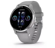 Умные часы Garmin Venu 2 Plus (серебристый/серый)