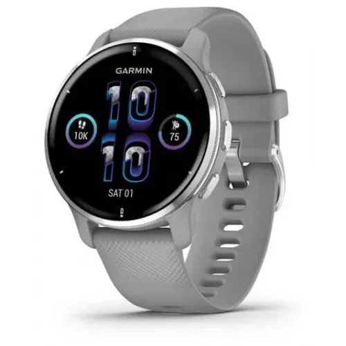 Умные часы Garmin Venu 2 Plus (серебристый/серый)