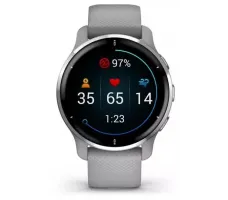 Умные часы Garmin Venu 2 Plus (серебристый/серый)