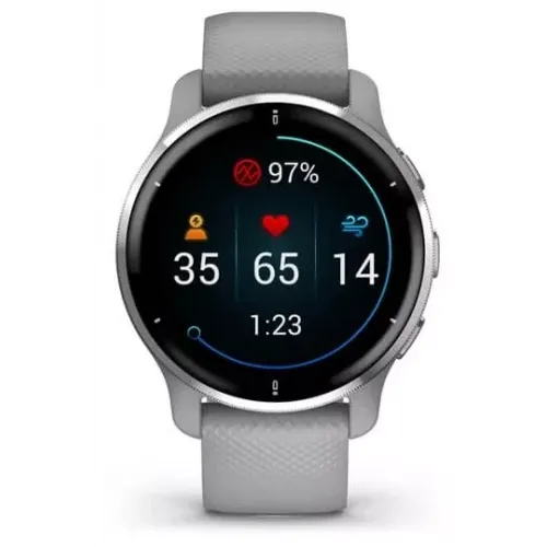 Умные часы Garmin Venu 2 Plus (серебристый/серый)