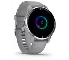 Умные часы Garmin Venu 2 Plus (серебристый/серый)