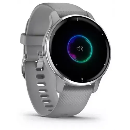 Умные часы Garmin Venu 2 Plus (серебристый/серый)