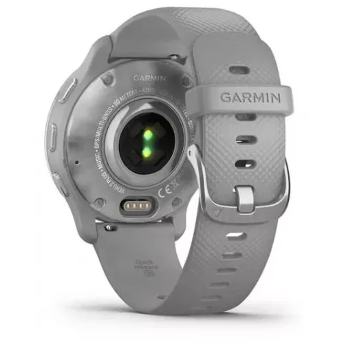 Умные часы Garmin Venu 2 Plus (серебристый/серый)