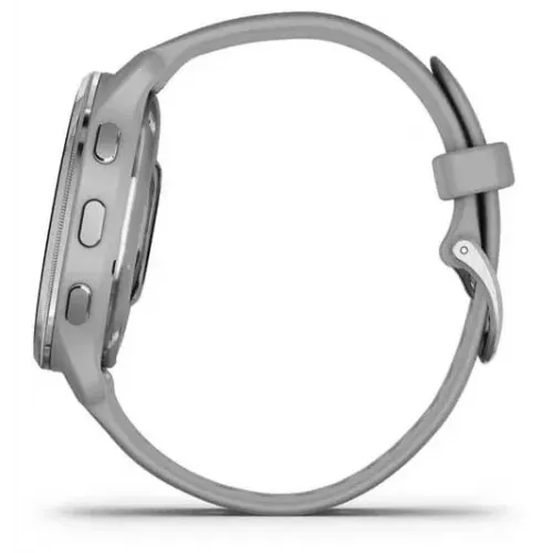 Умные часы Garmin Venu 2 Plus (серебристый/серый)